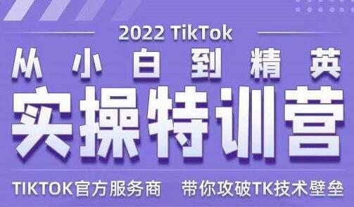 Seven漆《Tiktok从小白到精英实操特训营》带你掌握Tiktok账号运营-大源资源网