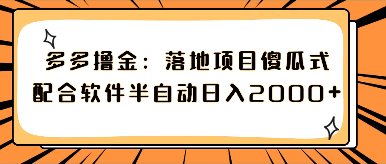 多多撸金：落地项目傻瓜式配合软件半自动日入2000+-大源资源网