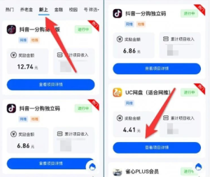 网盘拉新项目揭秘：如何利用网盘拉新日撸1000+，UC网盘拉新项目，蓝海项目空白市场！-大源资源网