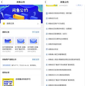 闲鱼图书无货源副业思路，涵货源+选品+发货等，保姆级玩法分享给你-大源资源网