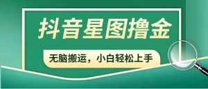 抖音赚钱新手必读：开通星图，参与商务推广任务，轻松增加收益！-大源资源网