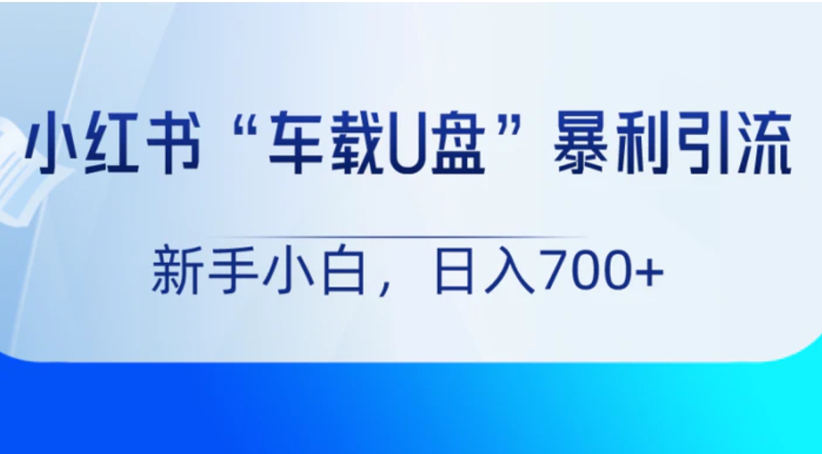 小红书“车载U盘”项目，暴利引流，新手小白轻松日入700+-大源资源网