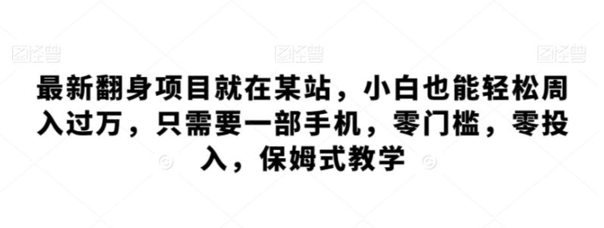 最新翻身项目就在某站，小白也能轻松周入过万，只需要一部手机，零门槛，零投入，保姆式教学-大源资源网