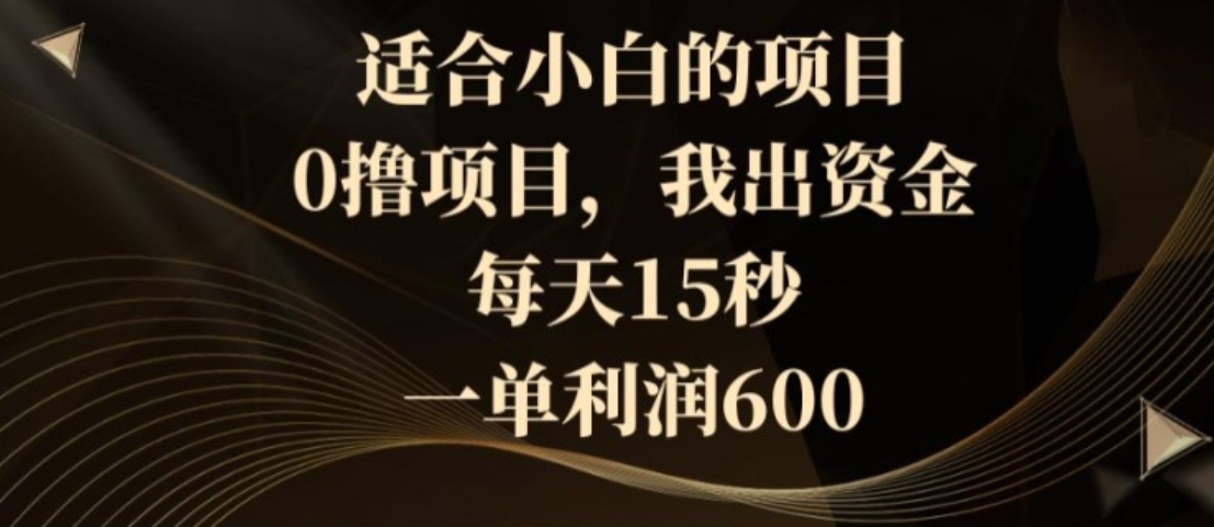 适合小白的项目，0撸项目，我出资金，每天15秒，一单利润600-大源资源网