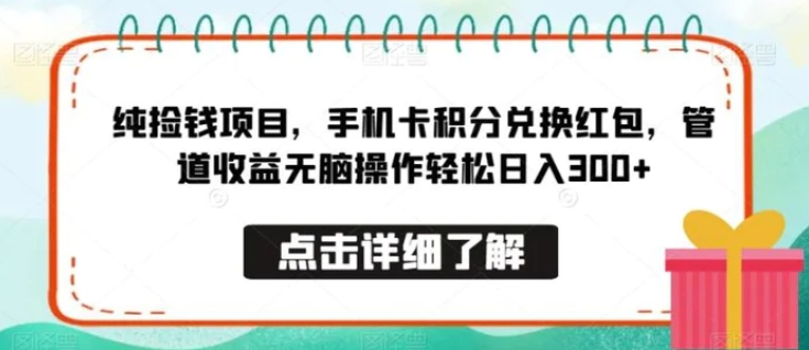 纯捡钱项目，手机卡积分兑换红包，管道收益无脑操作轻松日入300+-大源资源网