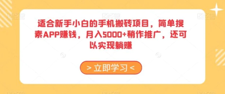 适合新手小白的手机搬砖项目，简单搜素APP赚钱，月入5000+稍作推广，还可以实现躺赚【揭秘】-大源资源网