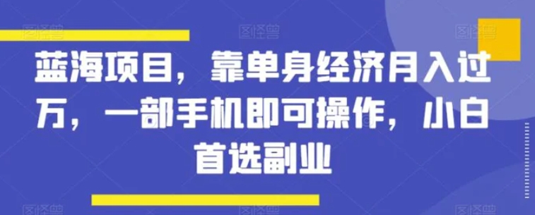 蓝海项目，靠单身经济月入过万，一部手机即可操作，小白首选副业【揭秘】-大源资源网