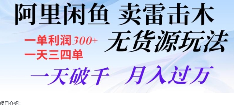 阿里闲鱼卖雷击木无货源玩法，一单利润300+，一天三四单，一天破千，月入过万-大源资源网