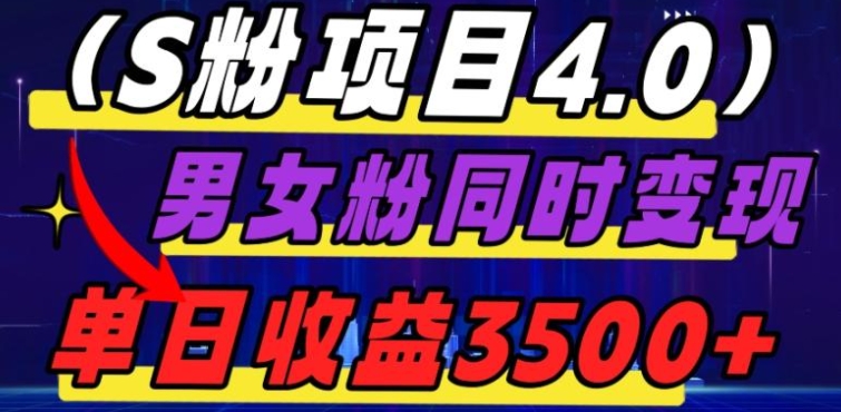 S粉项目4.0，男女粉通吃，男女粉同时变现，单日收益3500+-大源资源网