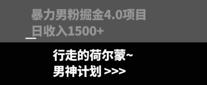 暴力男粉掘金4.0项目不违规不封号无脑复制单人操作日入1000+-大源资源网