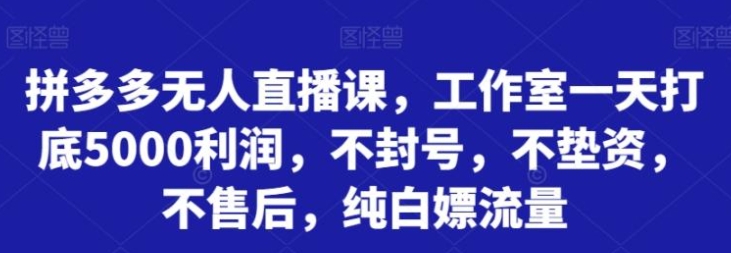 拼多多无人直播课，工作室一天打底5000利润，不封号，不垫资，不售后，纯白嫖流量-大源资源网