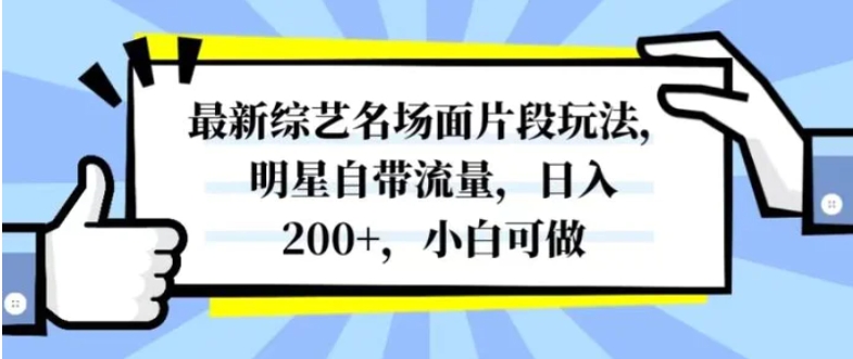 最新综艺名场面片段玩法，明星自带流量，日入200+，小白可做-大源资源网