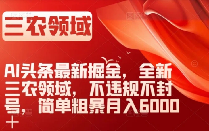 AI头条最新掘金，全新三农领域，不违规不封号，简单粗暴月入6000＋【揭秘】-大源资源网