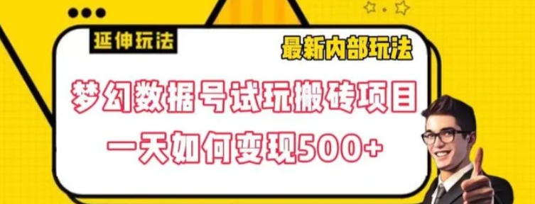 数据号回归玩法游戏试玩搬砖项目再创日入500+【揭秘】-大源资源网