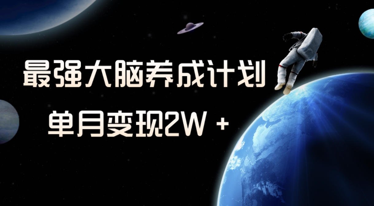 冷门虚拟项目，最强大脑养成计划，一个月变现2W＋-大源资源网