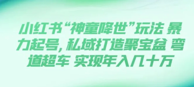 小红书“神童降世”玩法 暴力起号,私域打造聚宝盆 弯道超车 实现年入几十万-大源资源网