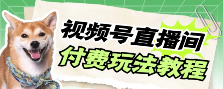 视频号美女付费无人直播，轻松日入500+【详细玩法教程】-大源资源网