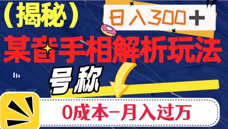 日入300+的，抖音手相解析玩法，号称0成本月入过万-大源资源网