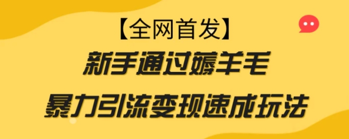 【全网首发】新手通过薅羊毛暴力引流变现速成玩法-大源资源网