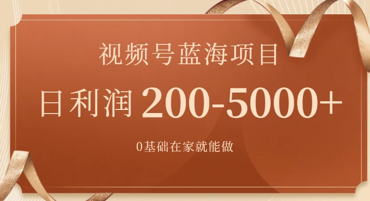 视频号蓝海项目，0基础在家也能做，日入200-5000+【附266G资料】-大源资源网