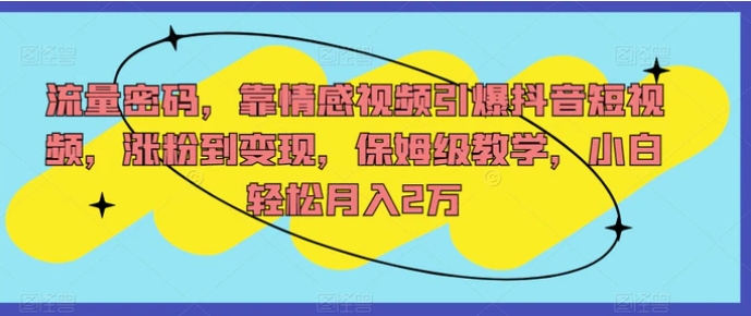 流量密码，靠情感视频引爆抖音短视频，涨粉到变现，保姆级教学，小白轻松月入2万【揭秘】-大源资源网