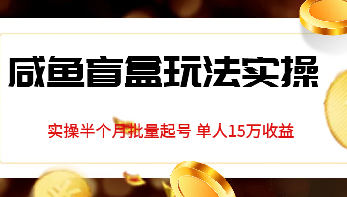 独家首发咸鱼盲盒玩法实操，半个月批量起号单人15万收益揭秘-大源资源网