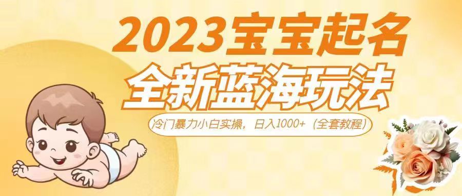 2023宝宝起名全新蓝海玩法，冷门暴力小白实操，日入1000+-大源资源网