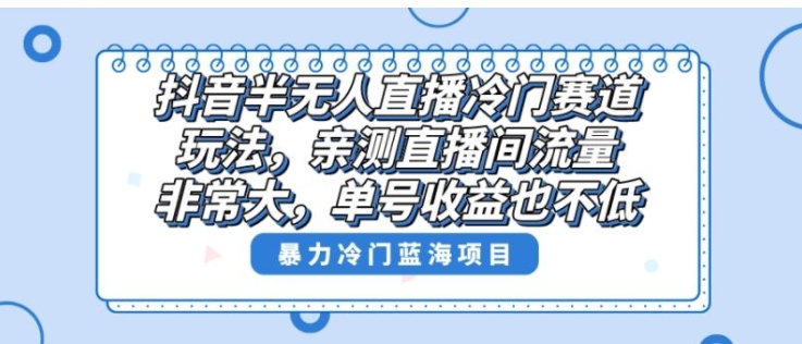 抖音半无人直播冷门赛道玩法，直播间流量非常大，单号收益也不低！-大源资源网