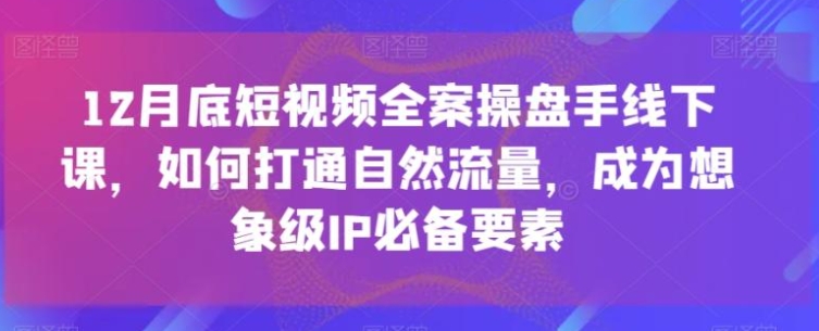 12月底短视频全案操盘手线下课，如何打通自然流量，成为想象级IP必备要素，全是干货，不讲废话超深度培训实操-大源资源网