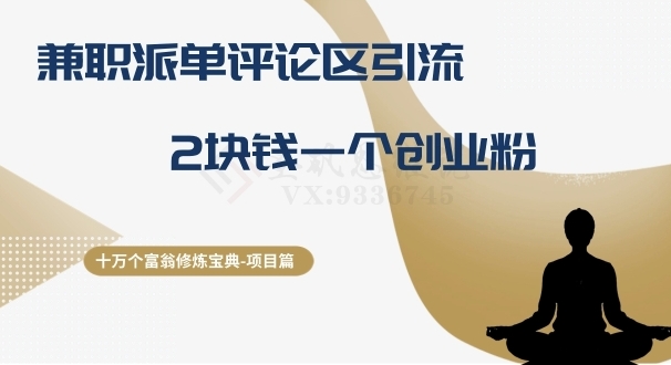 十万个富翁修炼宝典之11.兼职派单评论区引流，2块钱一个创业粉-大源资源网