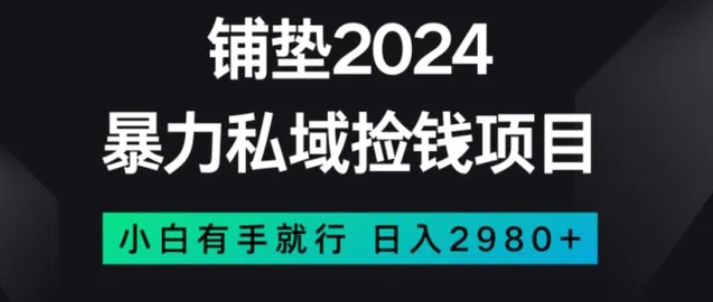 暴力私域捡钱项目，小白无脑操作，日入2980【揭秘】-大源资源网