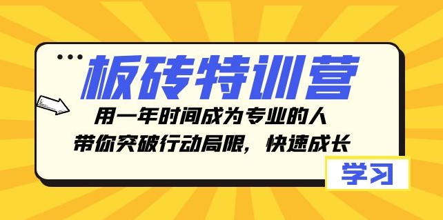 板砖特训营，用一年时间成为专业的人，带你突破行动局限，快速成长-大源资源网