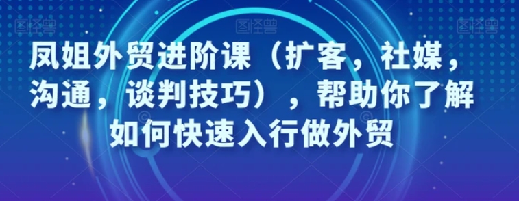 凤姐外贸进阶课，帮助你了解如何快速入行做外贸-大源资源网