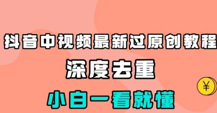 抖音中视频最新过原创教程，深度去重，小白一看就懂【揭秘】-大源资源网