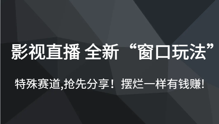 影视直播 全新“窗口玩法”，特殊赛道,抢先分享！摆烂一样有钱赚!-大源资源网