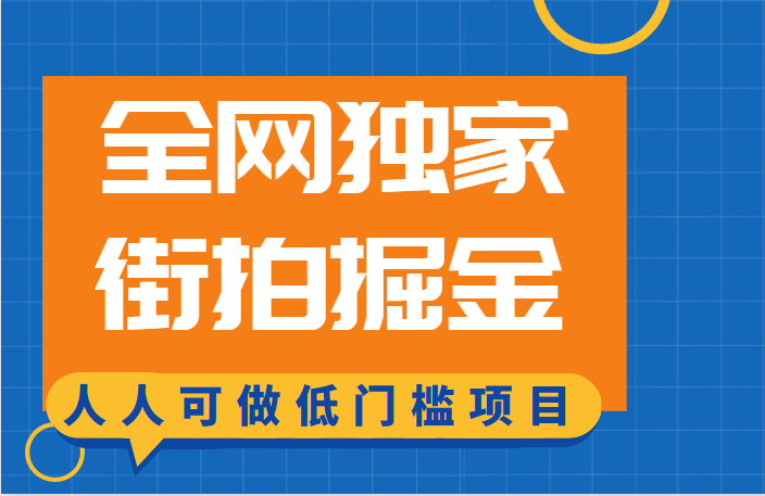 全网独家一街拍掘金，低门槛人人可做的赚钱项目-大源资源网