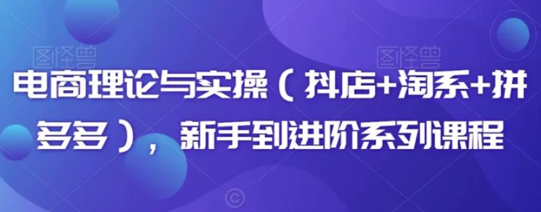 电商理论与实操，新手到进阶系列课程-大源资源网