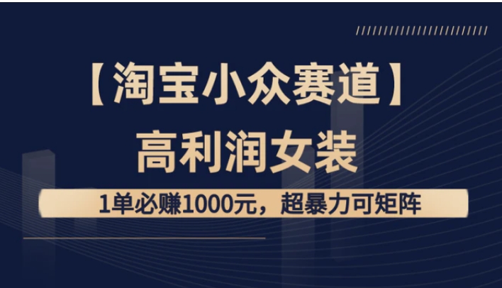 【淘宝小众赛道】高利润女装：1单必赚1000元，超暴力可矩阵-大源资源网