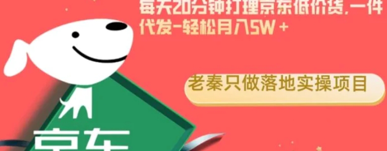 每天20分钟打理京东低价货，一件代发-轻松月入5W＋-大源资源网