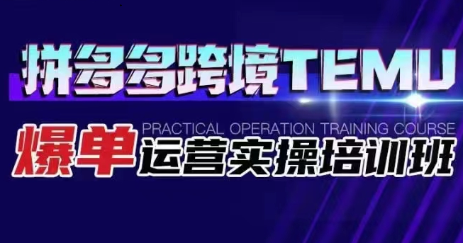 拼多多跨境TEMU爆单运营实操培训班 海外拼多多的选品、运营、爆单-大源资源网