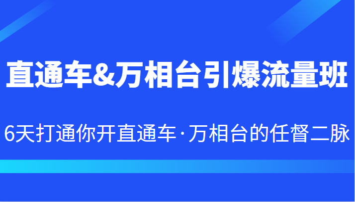 直通车&万相台引爆流量班 6天打通你开直通车·万相台的任督二脉-大源资源网