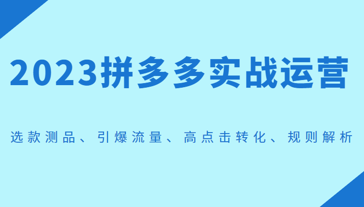 2023拼多多实战运营，选款测品、引爆流量、高点击转化、规则解析-大源资源网