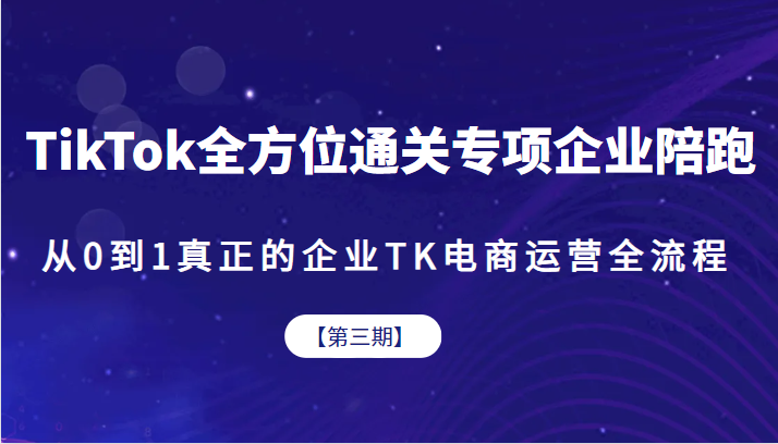 TikTok全方位通关专项企业陪跑【第三期】，从0到1真正的企业TK电商运营全流-大源资源网