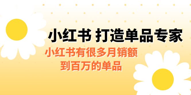 某公众号付费文章《小红书 打造单品专家》小红书有很多月销额到百万的单品-大源资源网