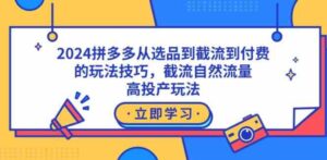 （9037期）2024拼多多从选品到截流到付费的玩法技巧，截流自然流量玩法，高投产玩法-大源资源网