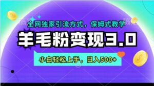 （9116期）羊毛粉变现3.0全网独家引流方式，小白轻松上手，日入500+-大源资源网