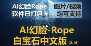 AI换脸免费软件Rope中文汉化白宝石版本全新UI界面，修复部分已知错误【附下载地址与详细使用教程】-大源资源网