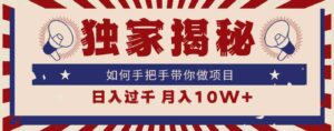 （9362期）独家揭秘，如何手把手带你做项目，日入上千，月入10W+-大源资源网