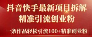 （9447期）2024年抖音快手最新项目拆解视频引流创业粉，一天轻松引流精准创业粉100+-大源资源网