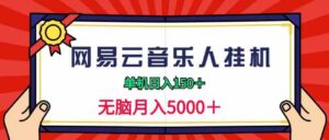 （9448期）2024网易云音乐人挂机项目，单机日入150+，无脑月入5000+-大源资源网